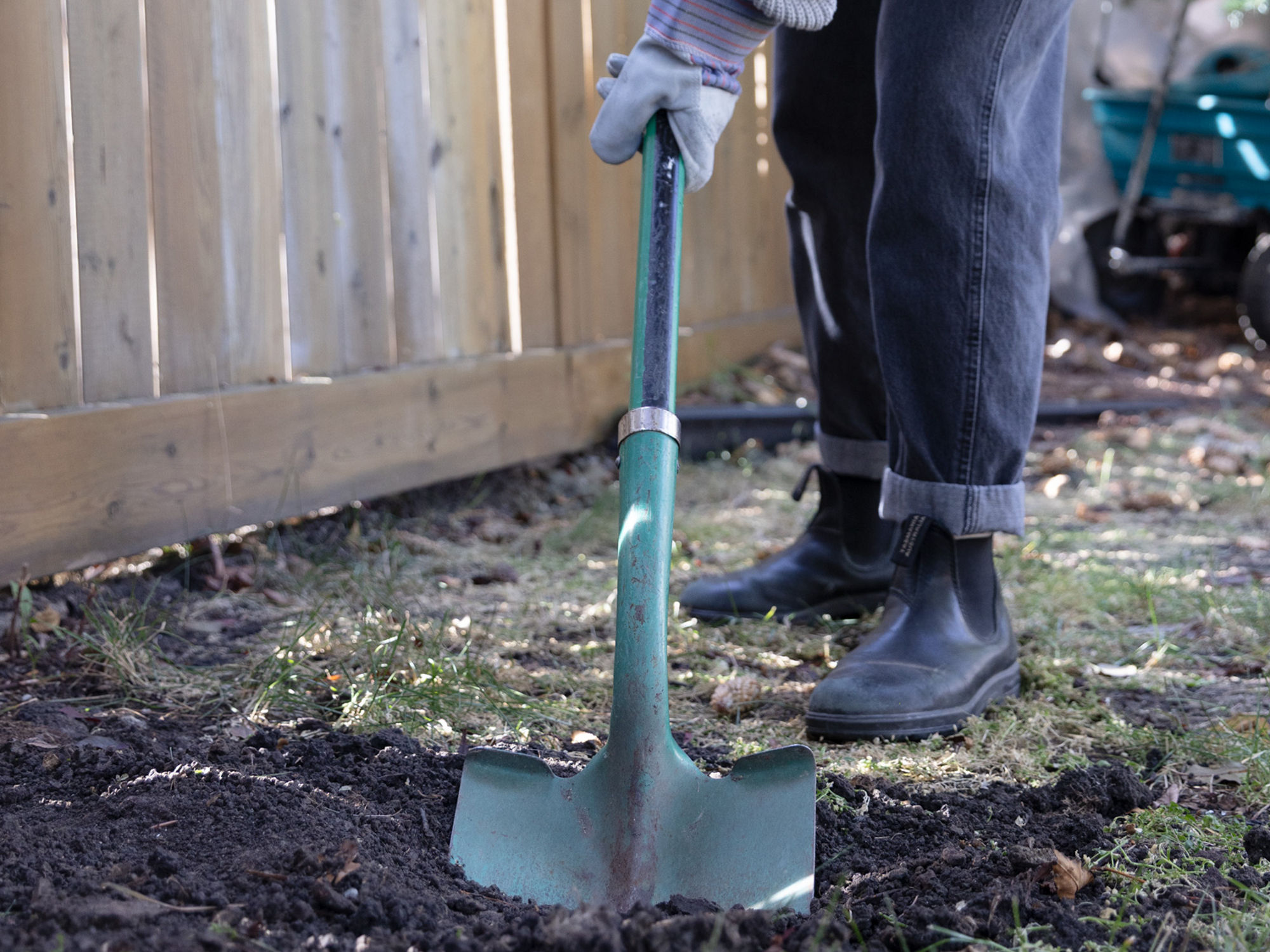 Person digging into soil with a shovel in a backyard, wearing gloves and boots beside a wooden fence.