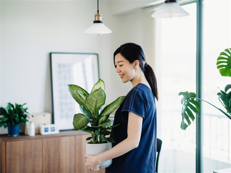 Woman sitting in front of a fan blowing air