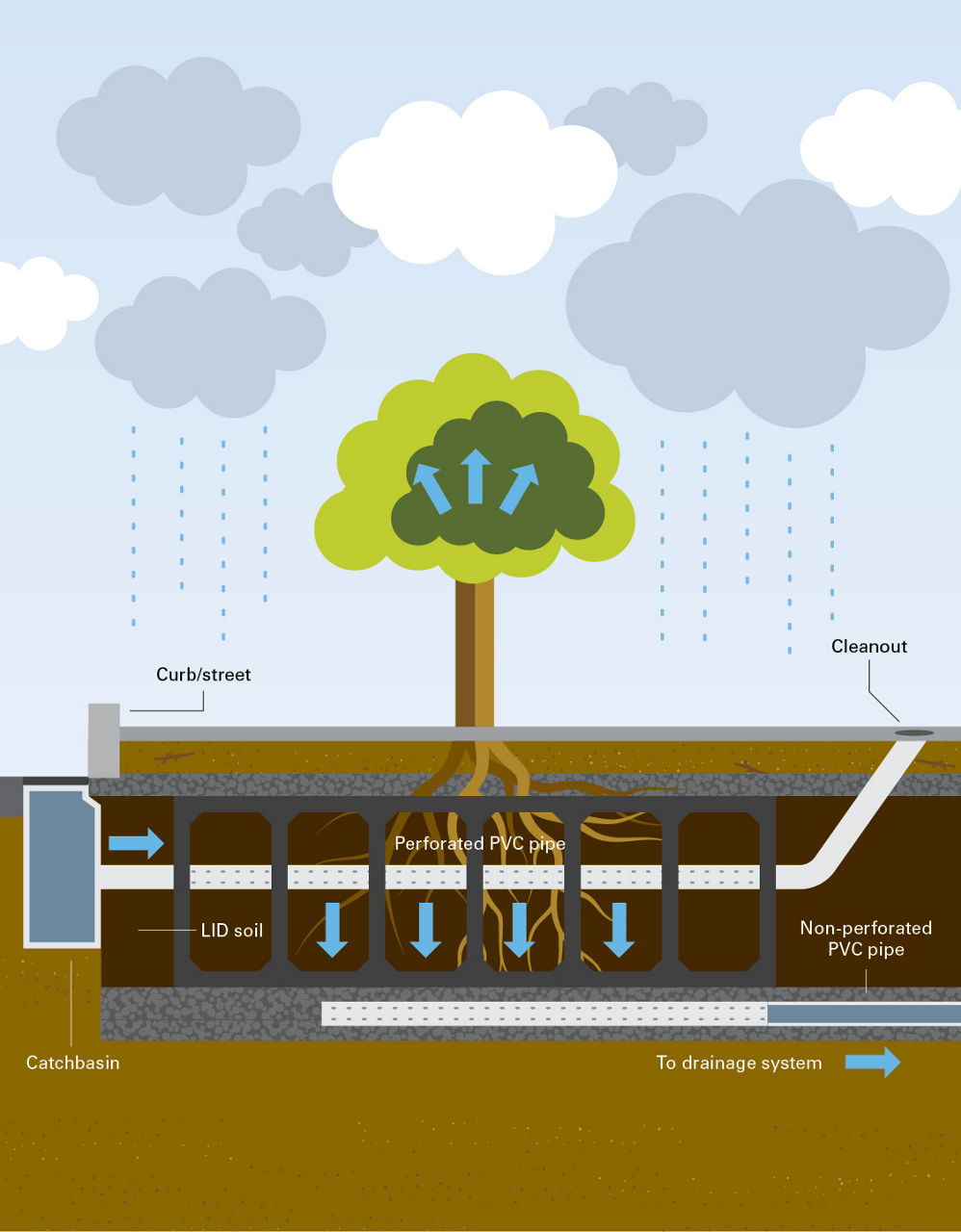 Soil cells