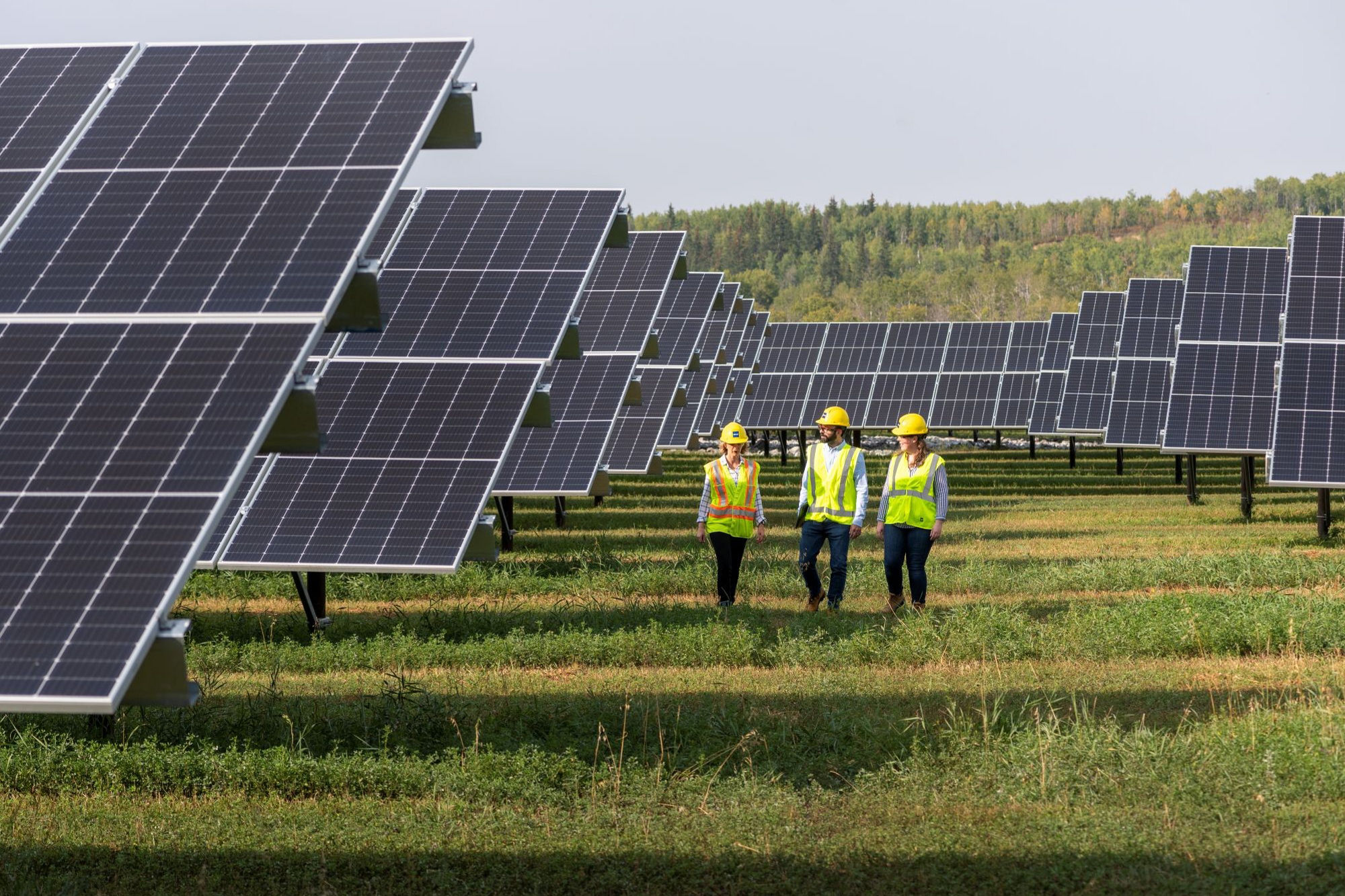 Team members walk through a utility‑scale solar farm, inspecting ground‑mounted photovoltaic panels that generate clean, renewable energy.
