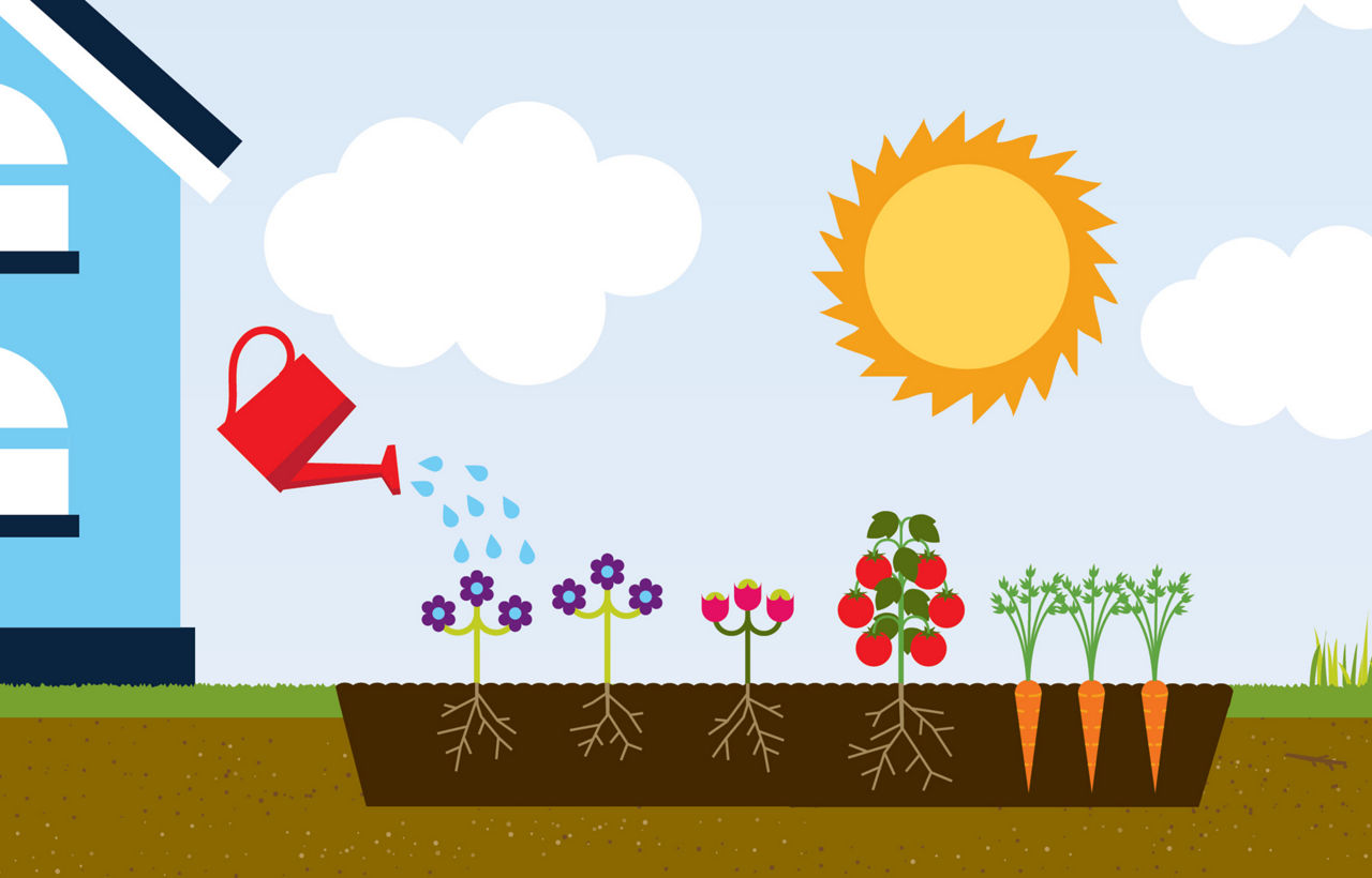 Illustration of an ineligible rain garden