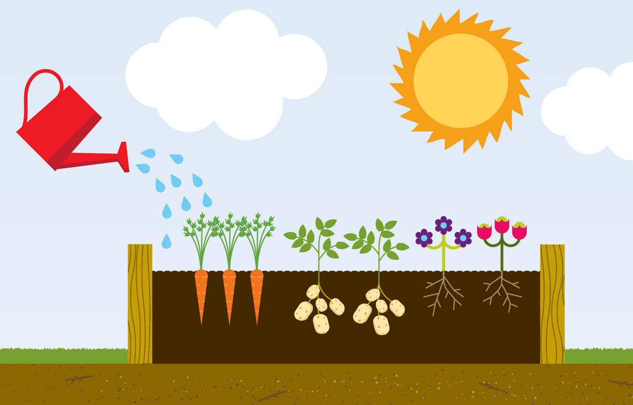 Illustration of an ineligible box planter