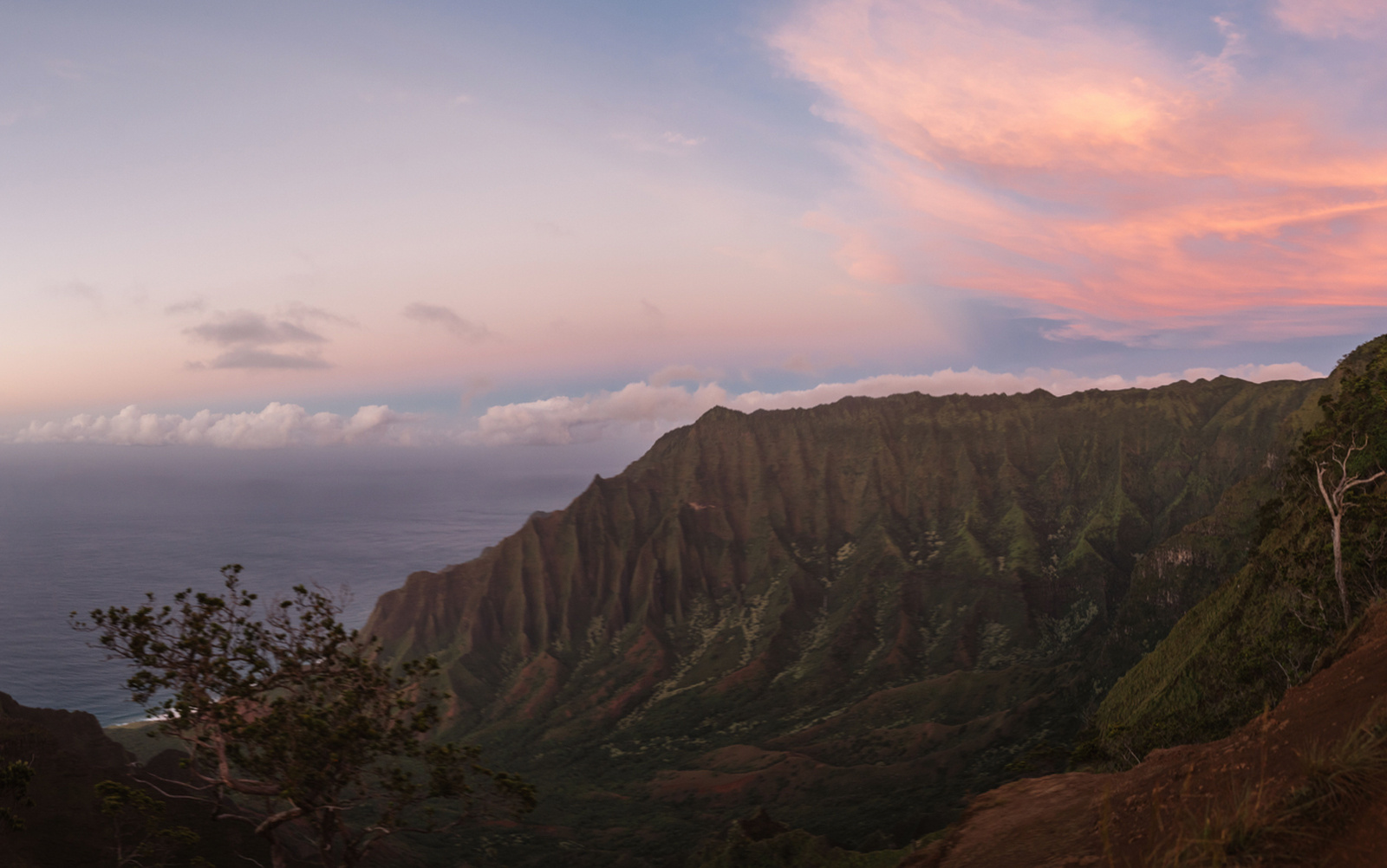 ExOfficio Insect Repellent, Sun Protection & Travel Clothing