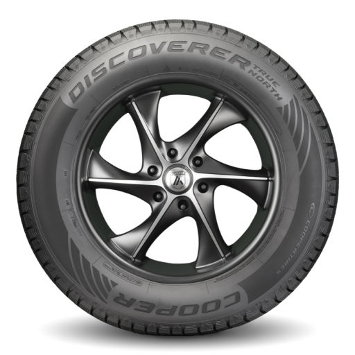 Discoverer® True North®,