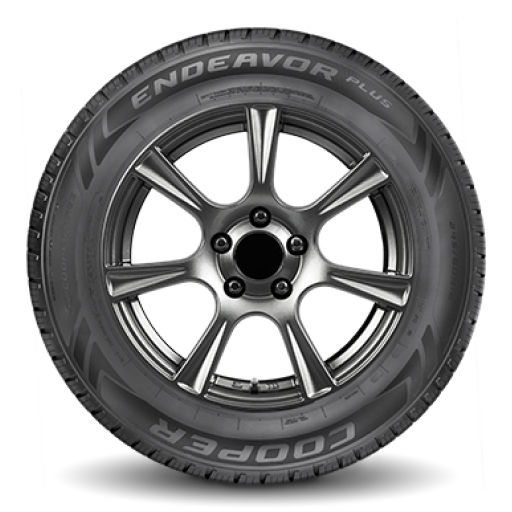 Endeavor Plus™,