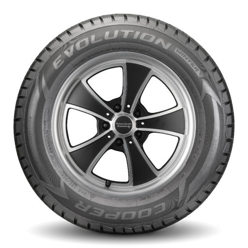 Evolution Winter™,