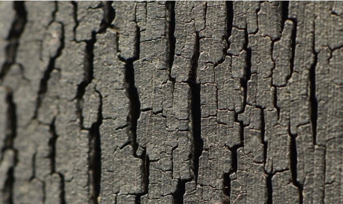 Tire Dry Rot