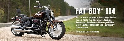 2019 Fat  Boy  114 Customized Bikes Harley  Davidson  USA