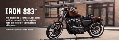  2019  Iron  883 Customized Bikes Harley  Davidson  USA