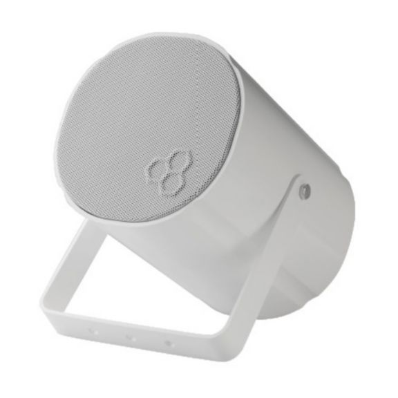 Unidirectional Projection Loudspeaker