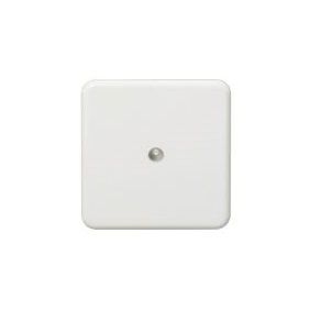 hbt-firesecurity-050165-flush-mounted-distributor-cover-primaryimage.jpg