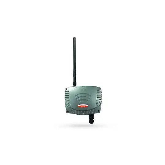 his-rae-radiantreader539x323