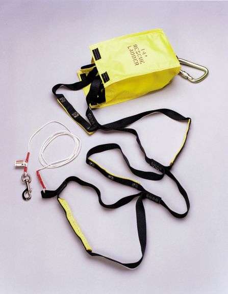Miller Rescue Ladder