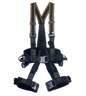 Miller RM Harnesses (EUR) - Image
