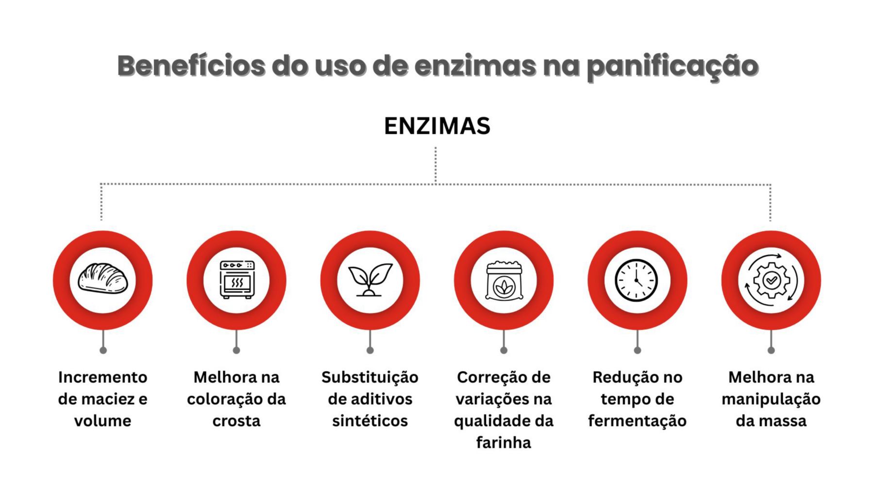 Enzimas - 1