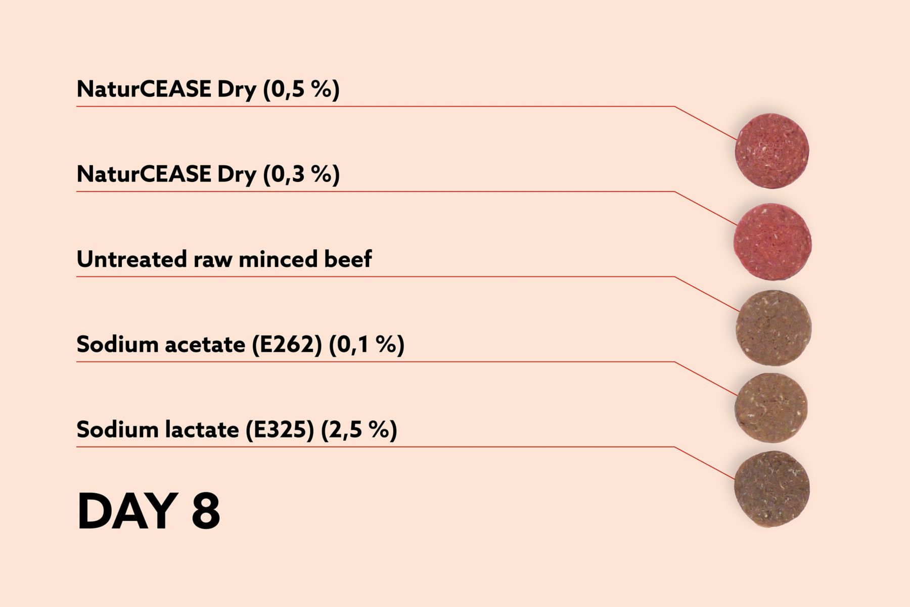 0220KEM138_SoMe_Experiment_Glenn_V3_DAY-8