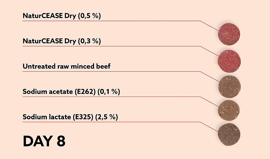 0220KEM138_SoMe_Experiment_Glenn_V3_DAY-8-1