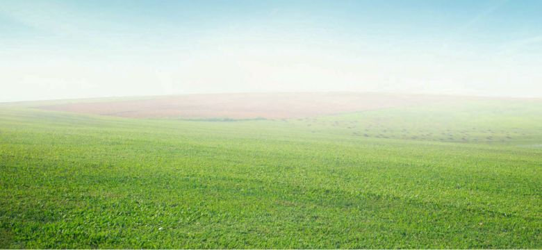 Landscape view of green grass on slope with blue sky and clouds background