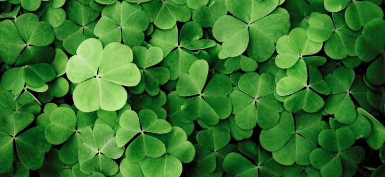 Green clover