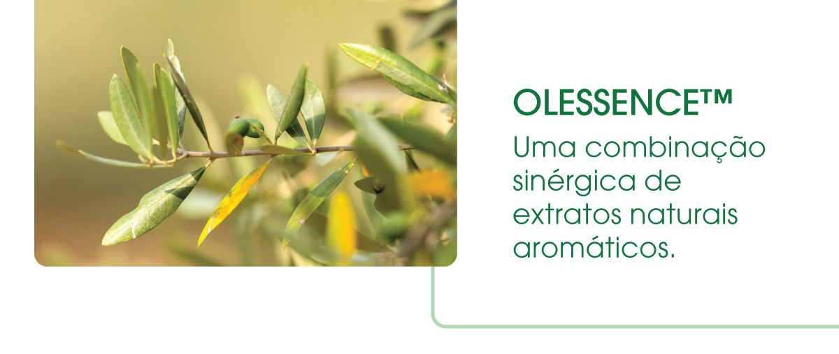 0424-olessence-combinacao