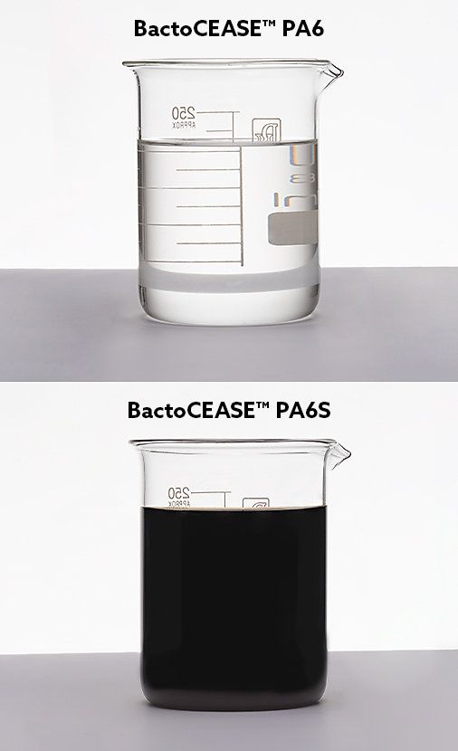 0524-pa6-lateral-produtos-v3