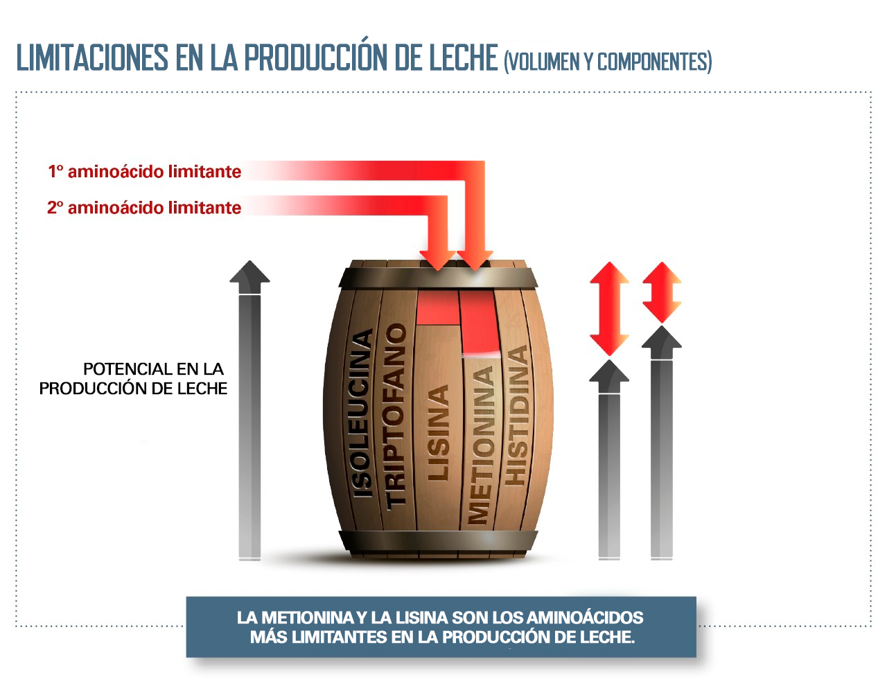 Limitantes produção leiteira - spanish