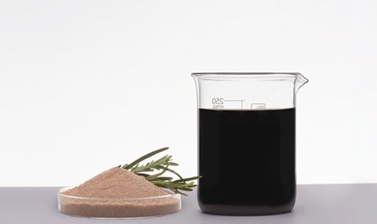 1225-fortium-rgt-beneficios