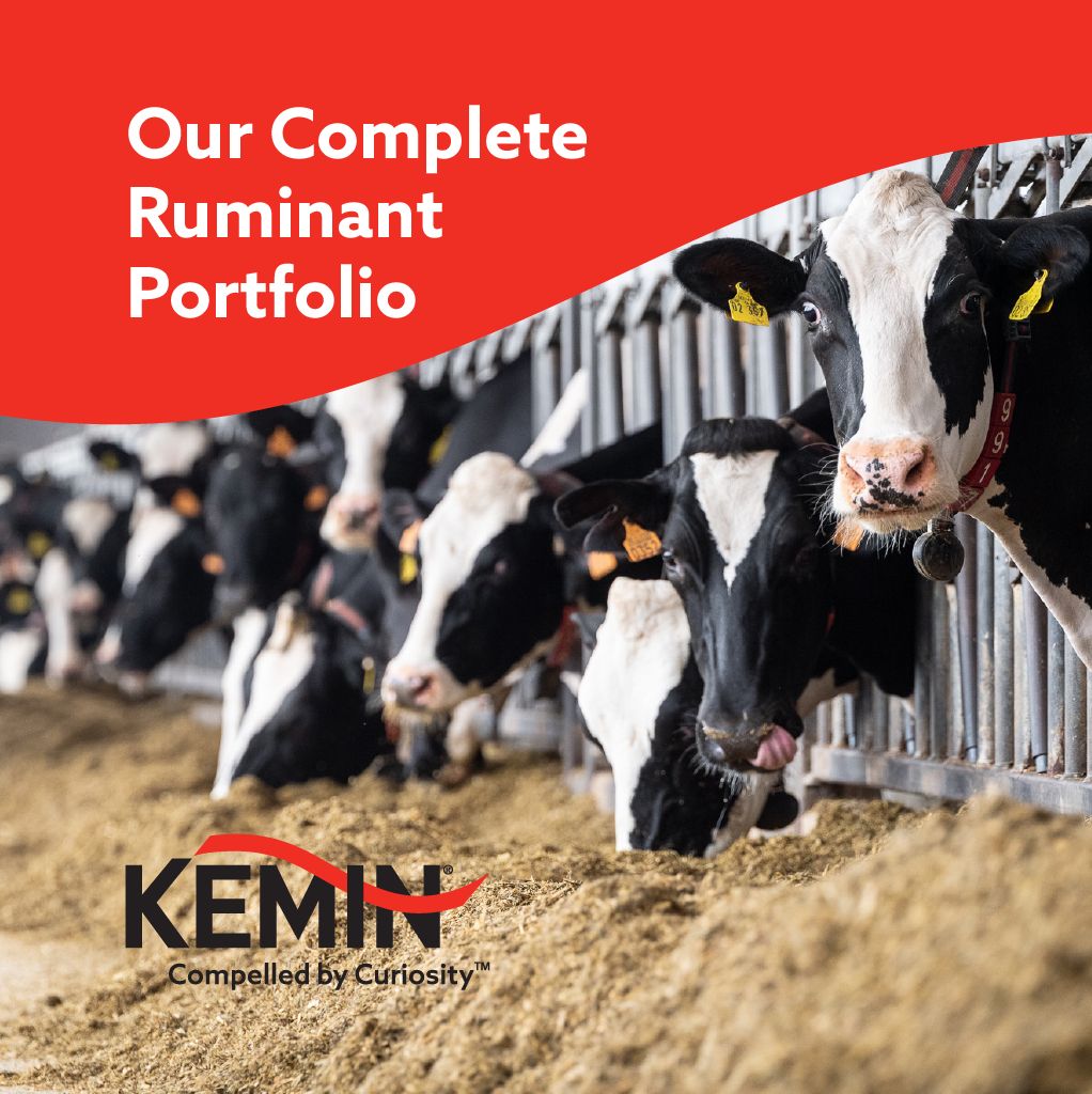 1764709284824_7d42917d_f112_41a8-a352_40e299c2f5a5_1