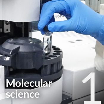 Molecular Science