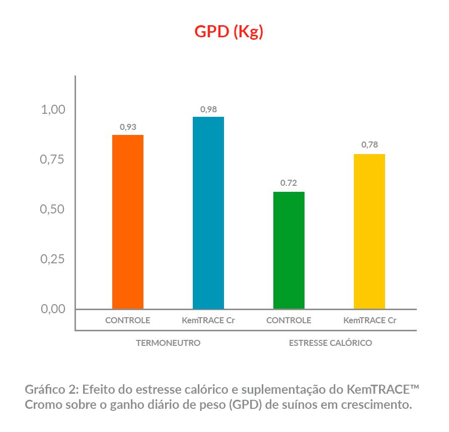 grafico-2