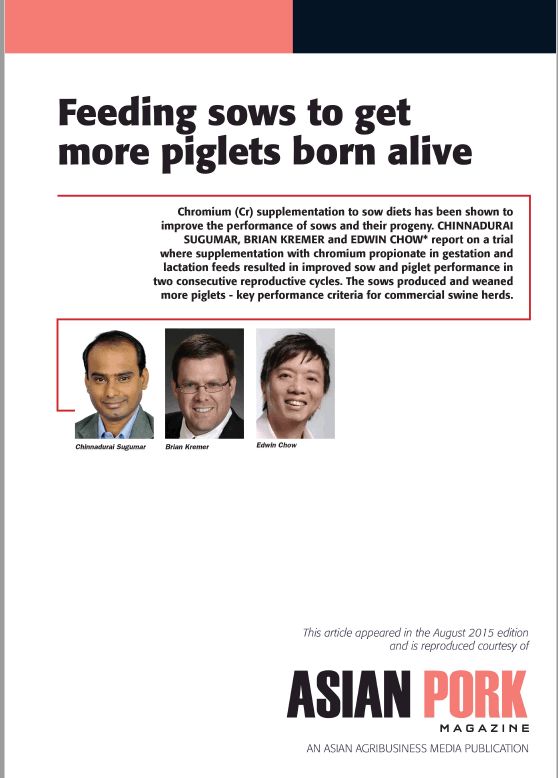 2015_02_feeding_sows_to_get_more_piglets_born_alive