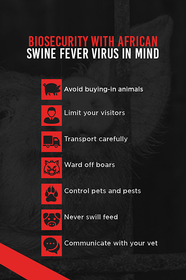 African Swine Flu Biosecurity