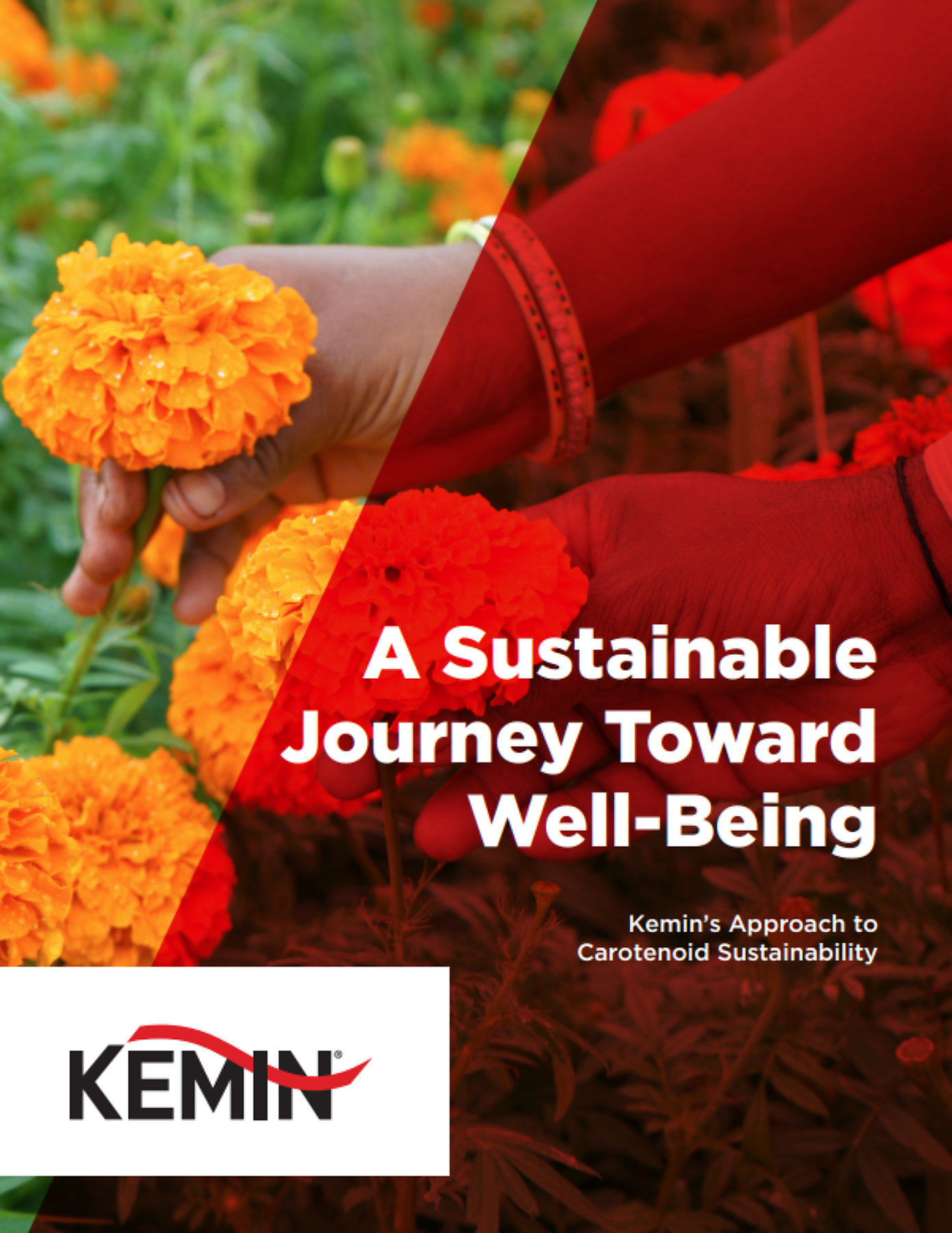 A Sustainable Journey Toward Well-Being - 5