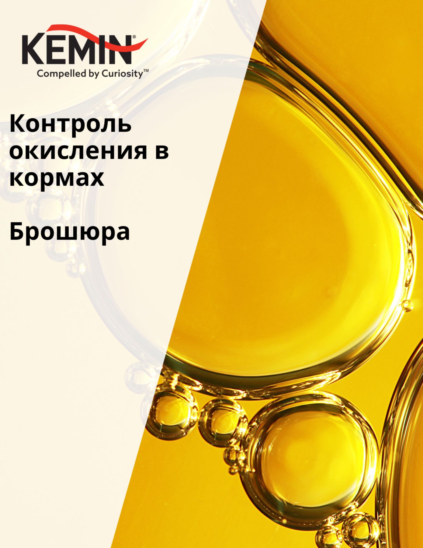 Copy of LYSOFORTE Leaflets - Maximise return on your feed through lower costs and increased efficiency