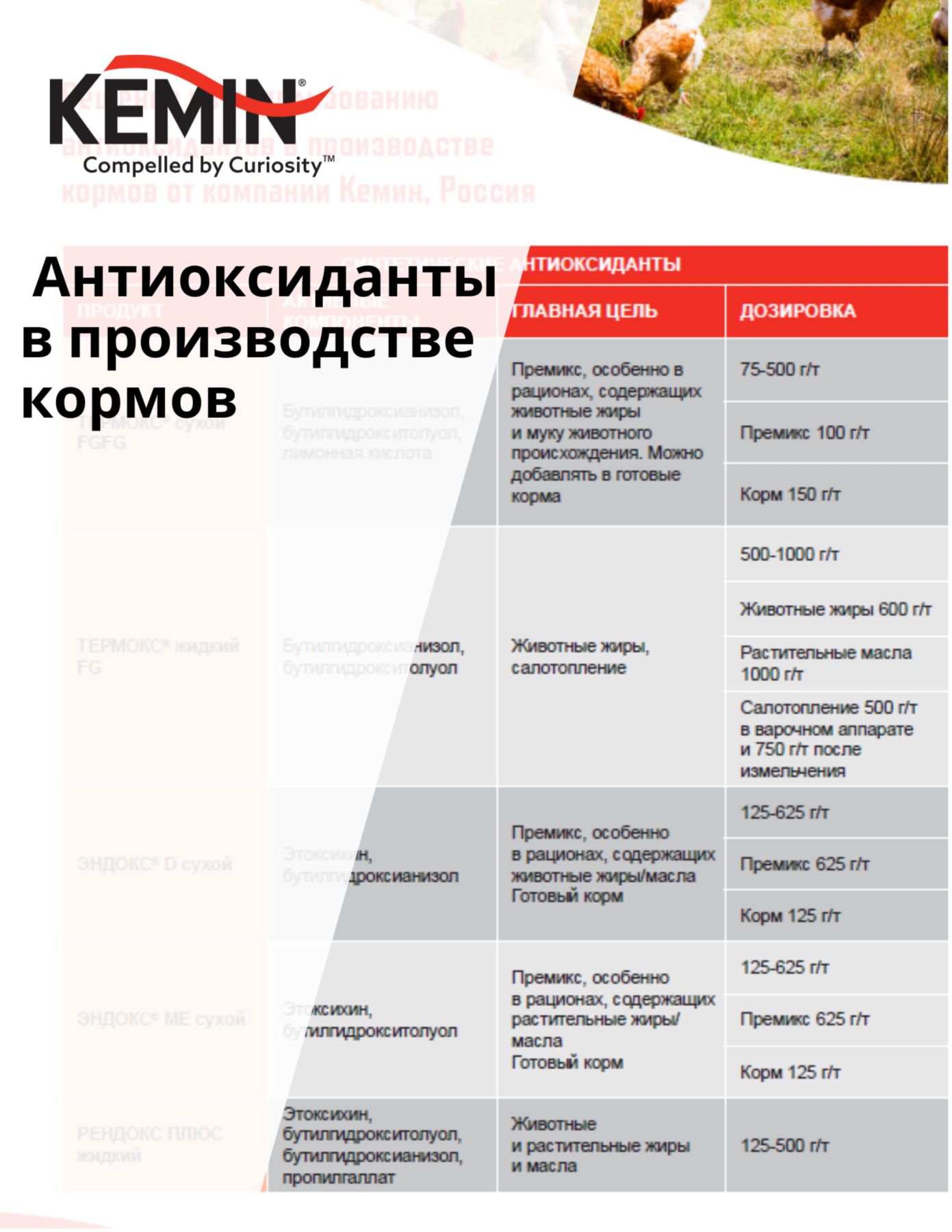 Copy of LYSOFORTE Leaflets - Maximise return on your feed through lower costs and increased efficiency