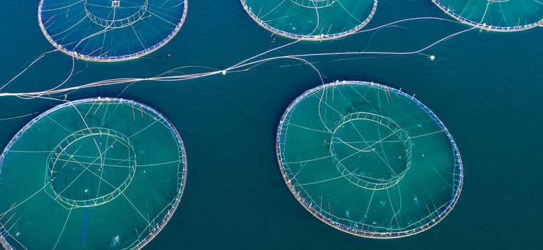 AQU_WEB_LINKED_BANNERS_CIRCLES_1526769-1