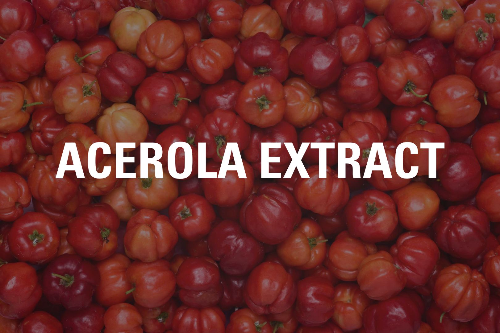 Acerola_Tile