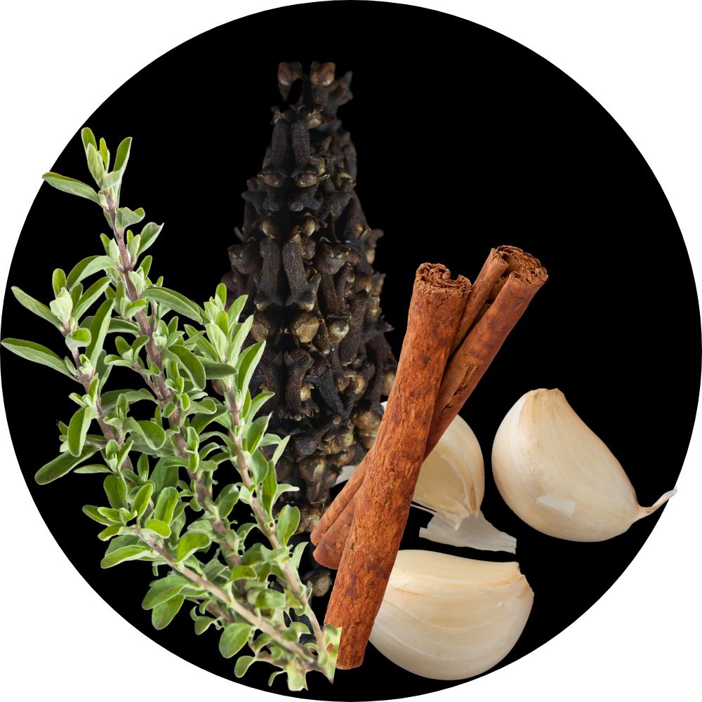 active ingredients revocurb