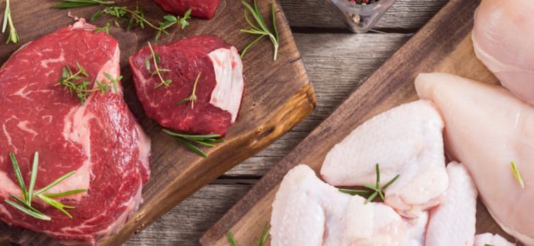 proteins-brochure-banner