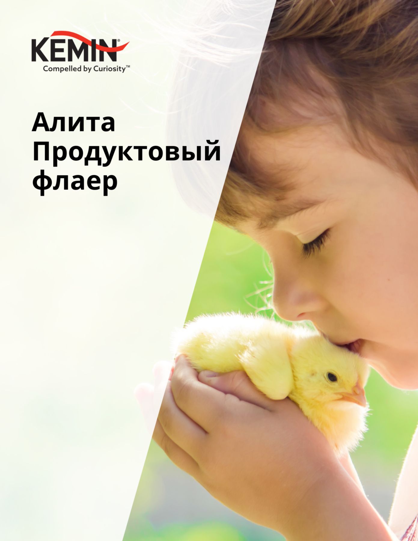 Copy of Aleta Technical Docs - Improving the sow’s nutrient supply increases production cost-efficiency