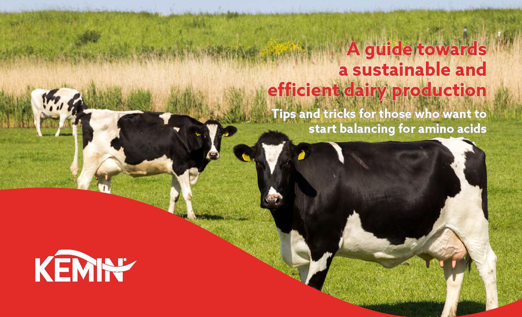 A guide towards a sustainable and efficient dairy production 