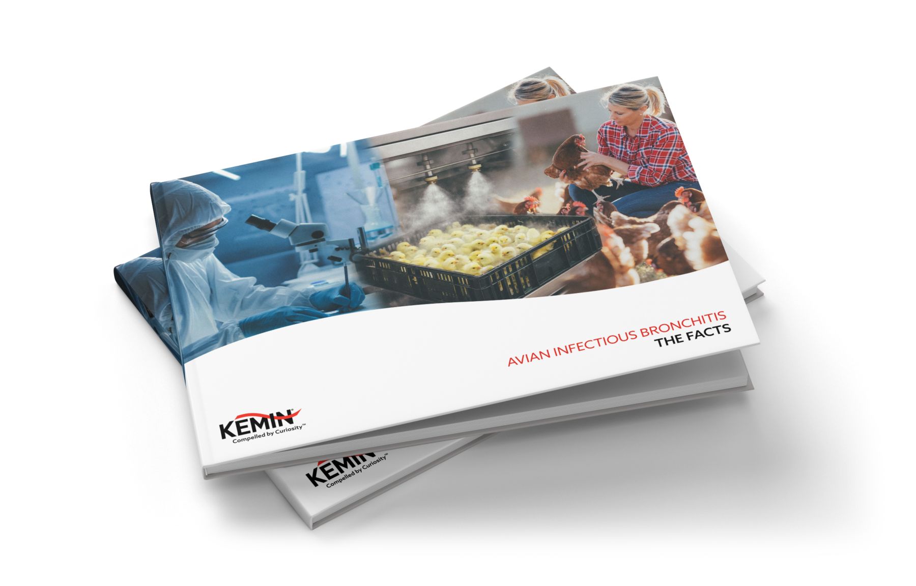 BOOKLET-Infectious-Bronchitis_mockup