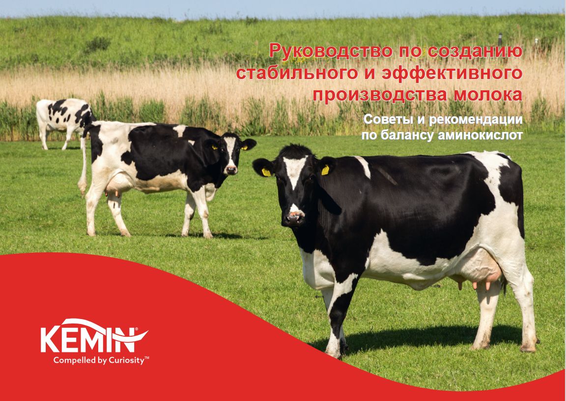 Balance of amino acids