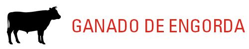 BeefMenuIcon_ES