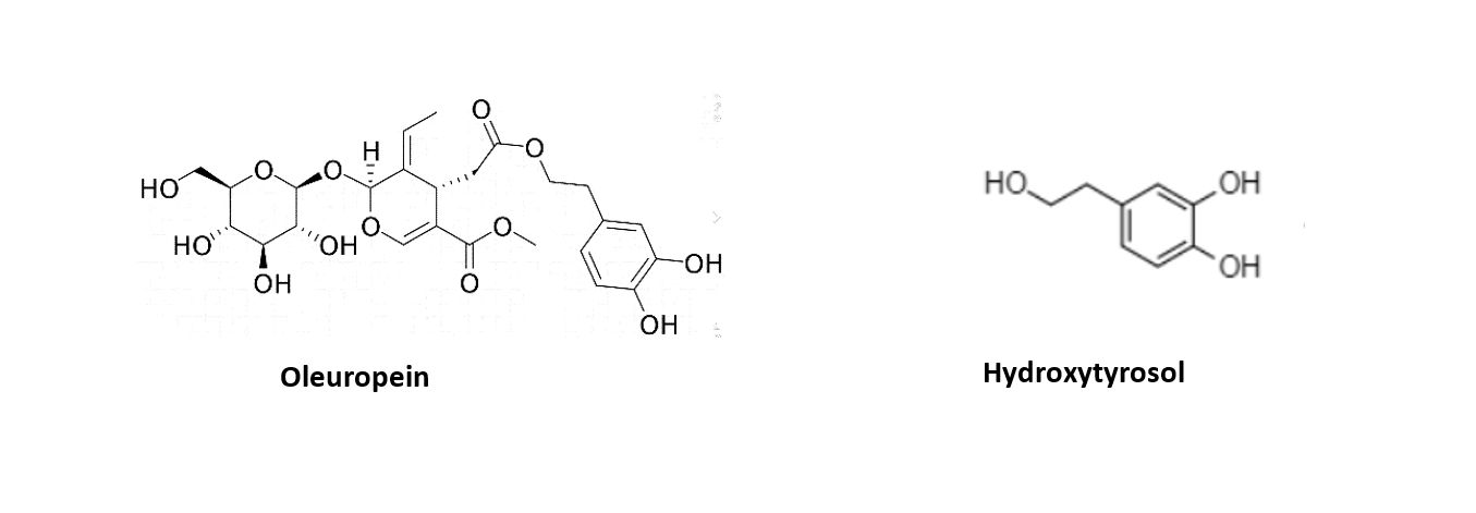 oleuropein-hydroxytyrosol