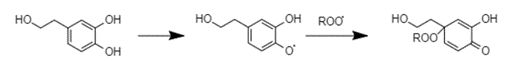 radical-scavenging-mechanism-hydroxytyrosol