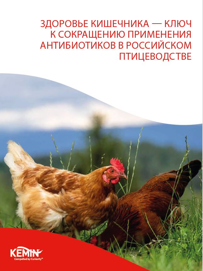 Brochure_poultry AGP