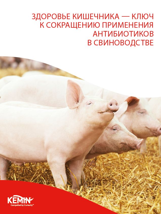 Brochure_swine AGP