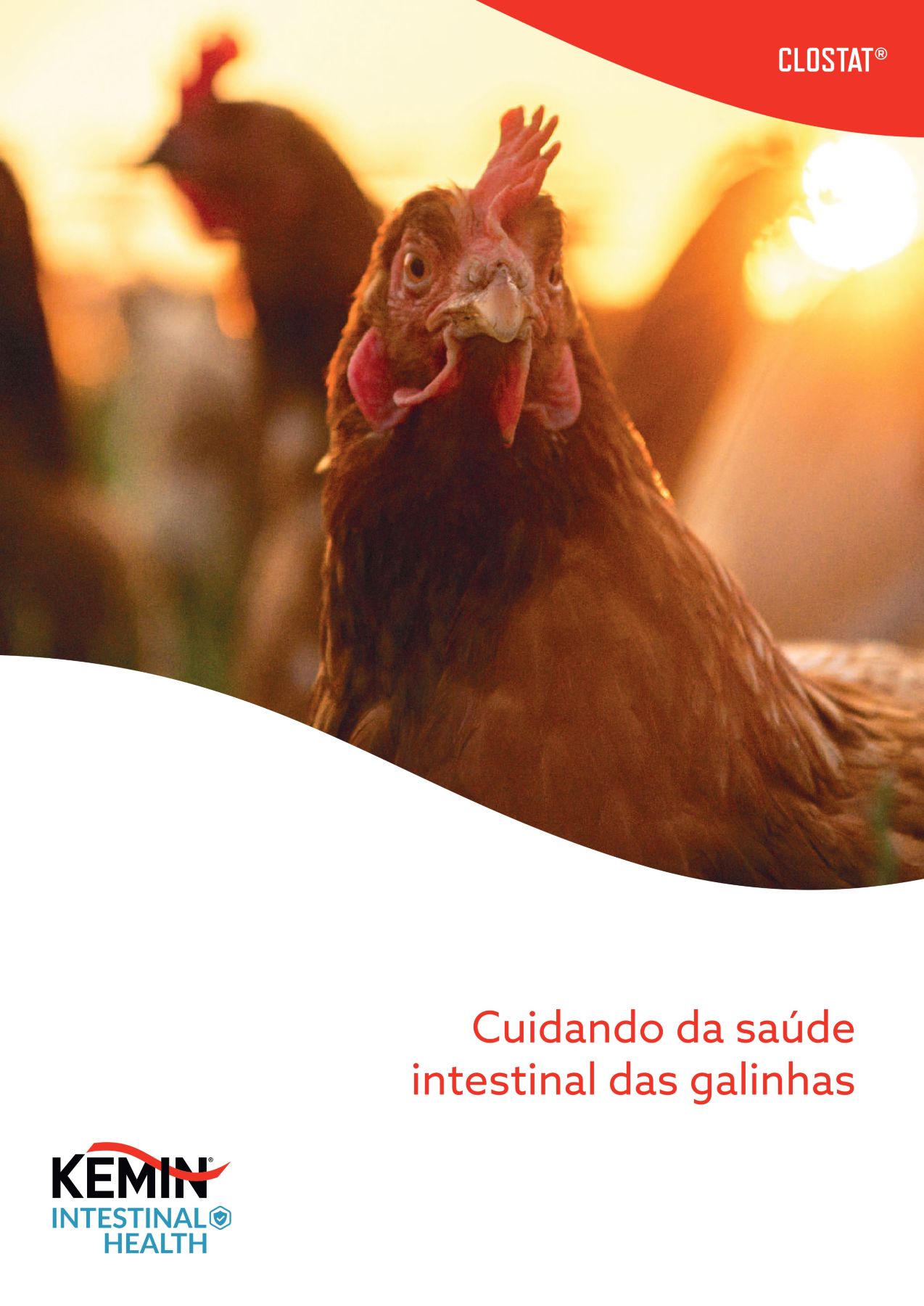 Folder CLOSTAT Postura