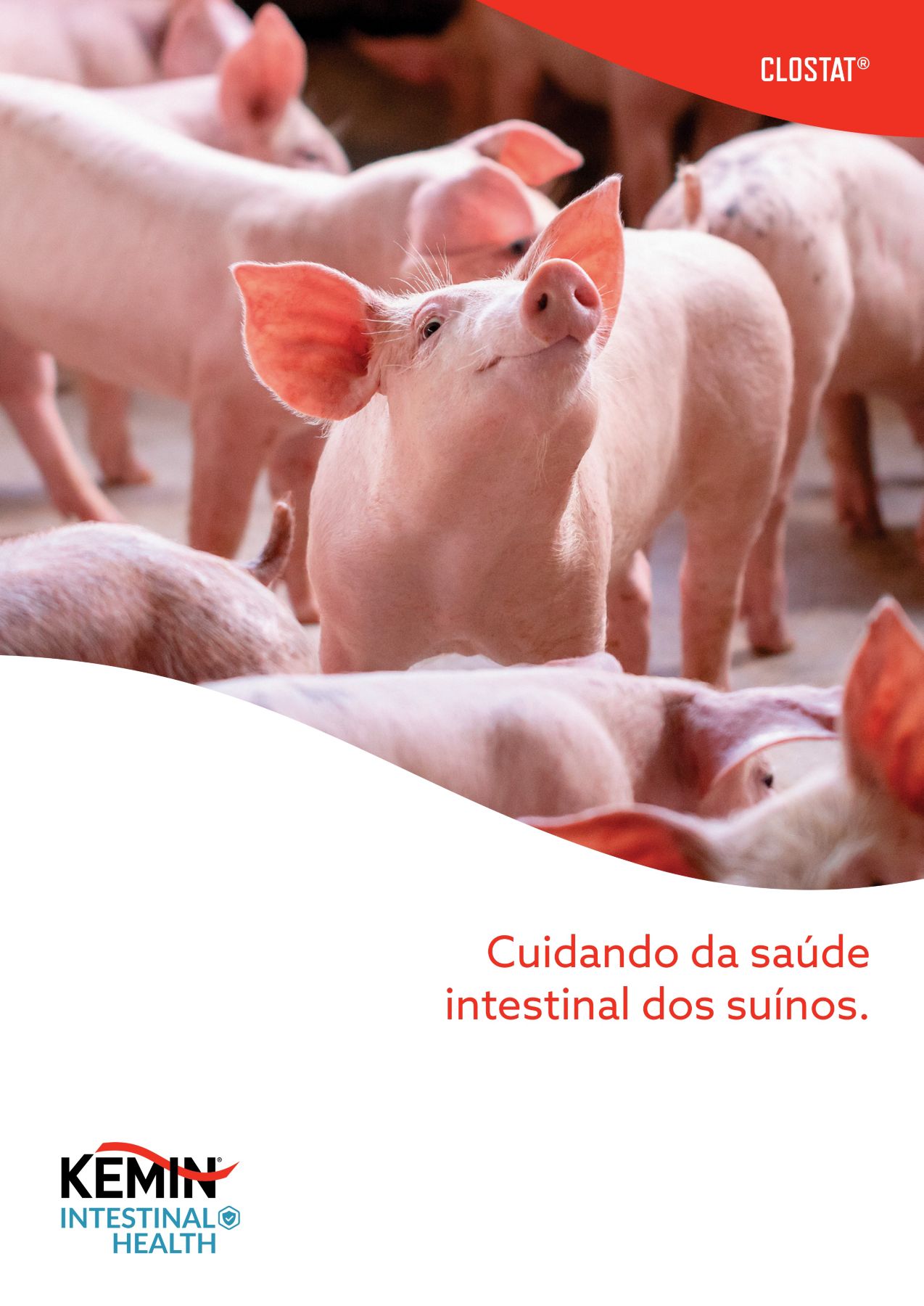 Folder CLOSTAT Suínos